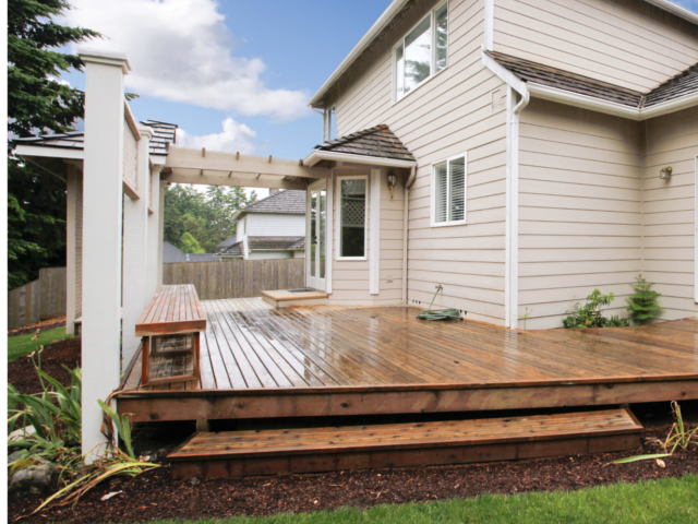 Skunk Removal from Decks