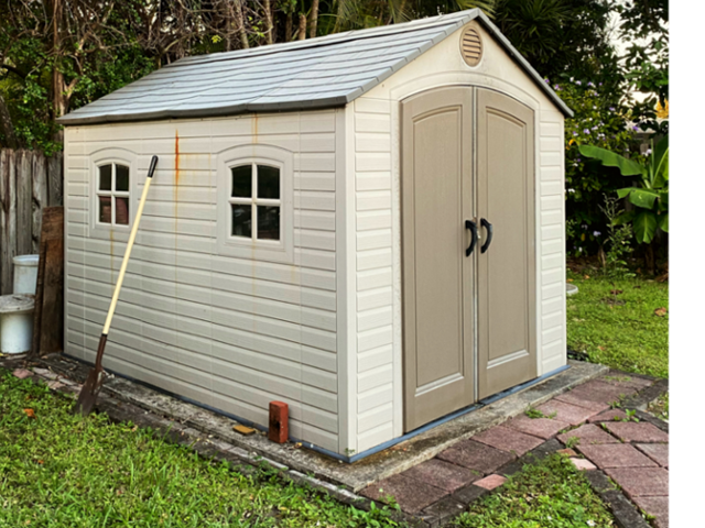 Skunk Removal from Sheds